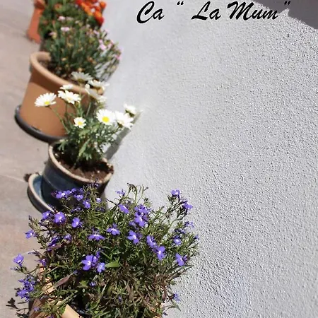 Сasa de vacaciones Ca La Mum